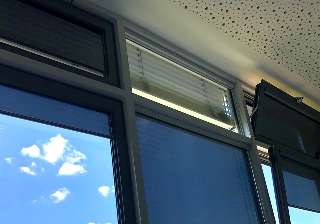 Behavior of blinds: A sketch of scientific practice